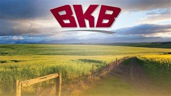 BKB Ltd: Clerk - Receiving