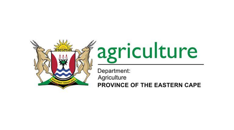 Eastern Cape Department of Agriculture Community Animal Health Worker livestock dipping programme